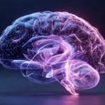 Brain connected to digital system representing brain-computer interface technology